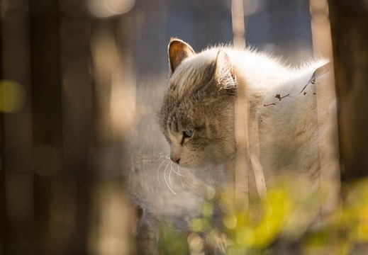 201302221557-DSC08391.jpg