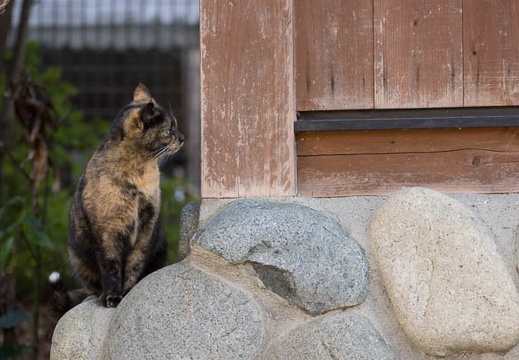 201302221603-DSC08406.jpg
