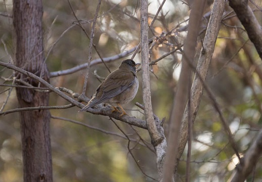 201302221615-DSC08411.jpg