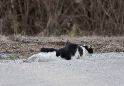 201302221646-DSC08437.jpg