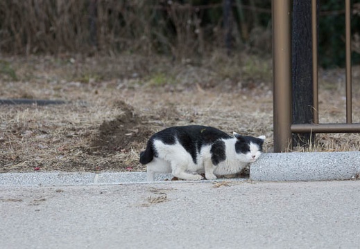 201302221647-DSC08443.jpg