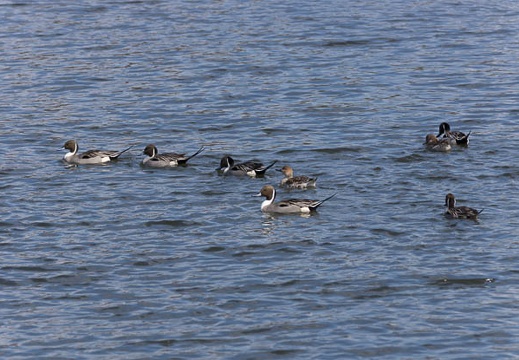 201302231056-DSC08468.jpg