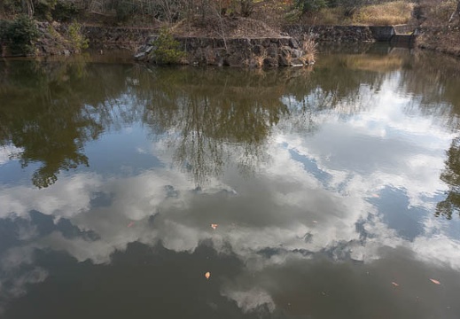 201302231121-DSC01516N.jpg