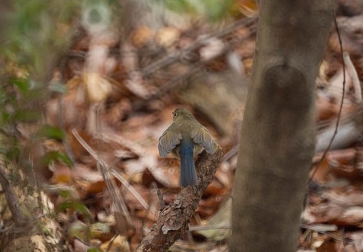 201302231139-DSC08538.jpg