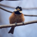 201302231152-DSC08567.jpg