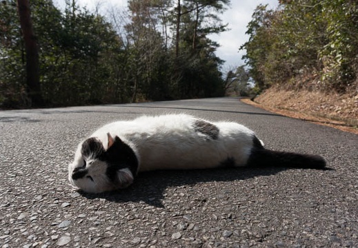 201302231226-DSC01554N.jpg