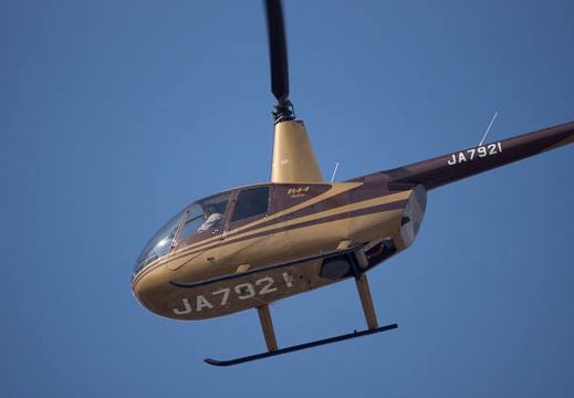 201302251341-DSC08857.jpg