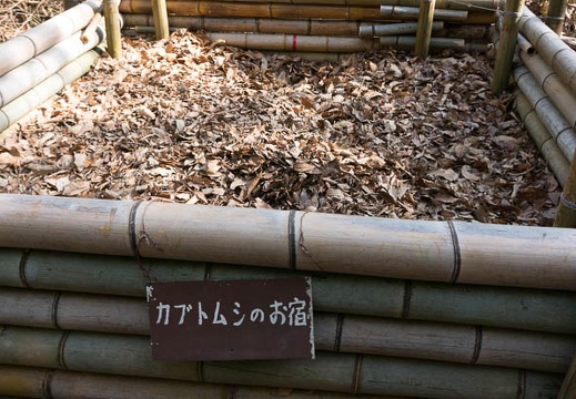 201302261424-DSC01591N.jpg
