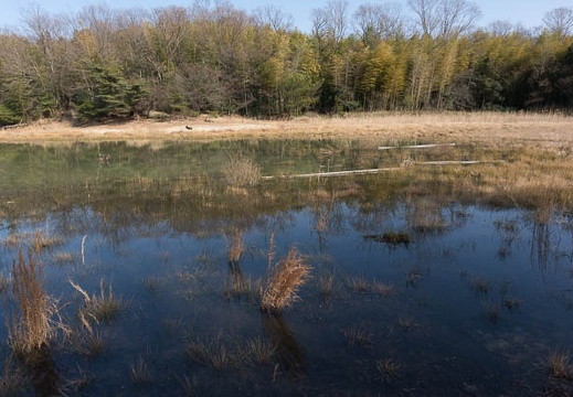 201302261448-DSC01601N.jpg