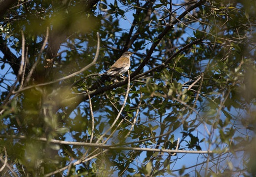 201302281457-DSC09649.jpg