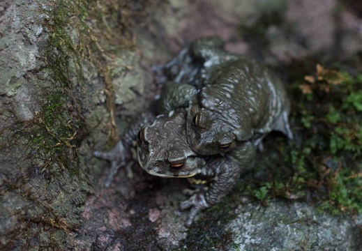 201303011316-DSC09872.jpg