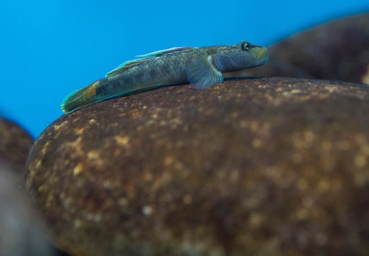 201303011328-DSC09910.jpg