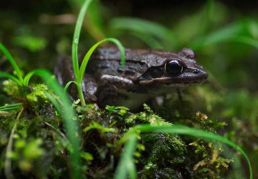 201303011334-DSC09934.jpg