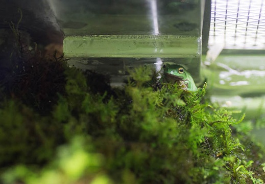 201303011335-DSC09937.jpg