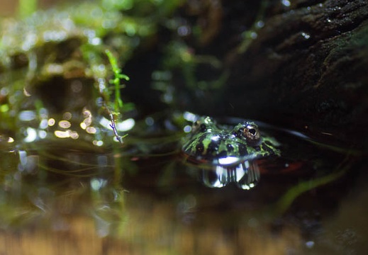 201303011417-DSC00077.jpg