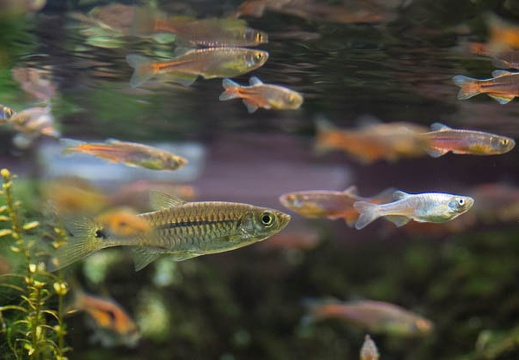 201303011426-DSC00103.jpg
