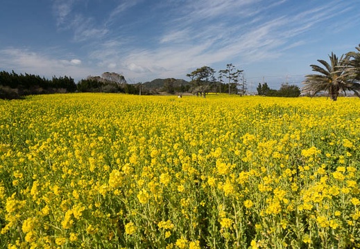 201303031005-DSC01509.jpg