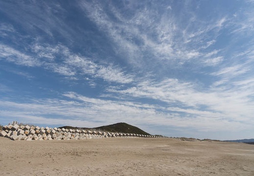 201303031018-DSC01540.jpg