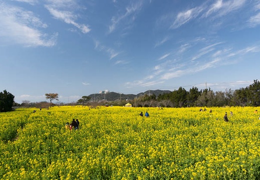 201303031051-DSC01628.jpg
