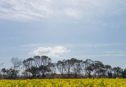 201303031057-DSC01638.jpg