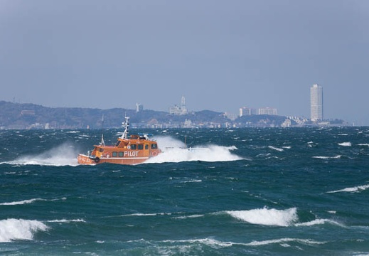 201303031242-DSC01846.jpg