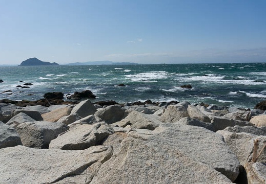 201303031254-DSC02105N.jpg