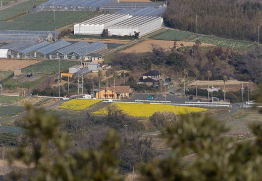 201303031521-DSC02060.jpg