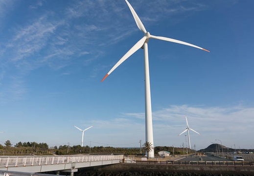 201303031629-DSC02177N.jpg