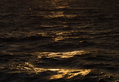201303031731-DSC02145.jpg