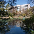 201303041218-DSC02237.jpg