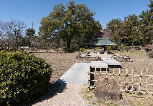 201303041235-DSC02261.jpg