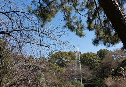 201303041253-DSC02275.jpg