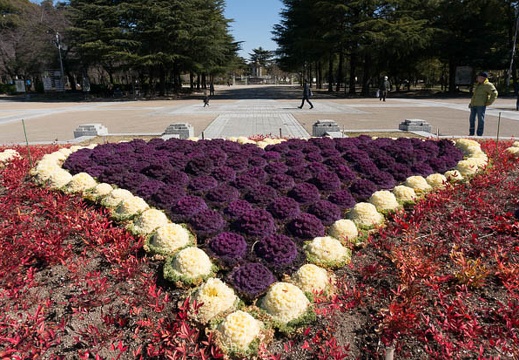 201303041306-DSC02294.jpg