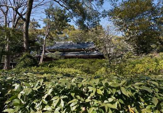 201303041345-DSC02308.jpg