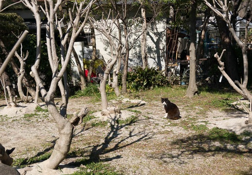 201303041347-DSC02313.jpg