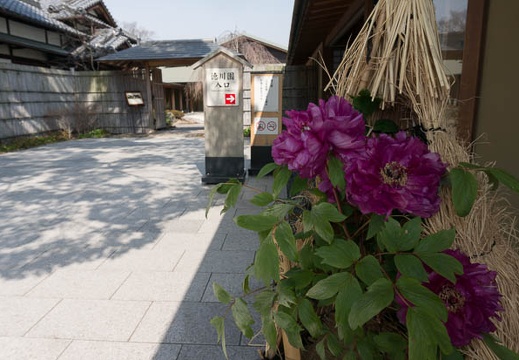 201303071107-DSC02416N.jpg