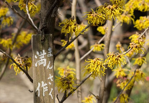 201303071127-DSC02548.jpg