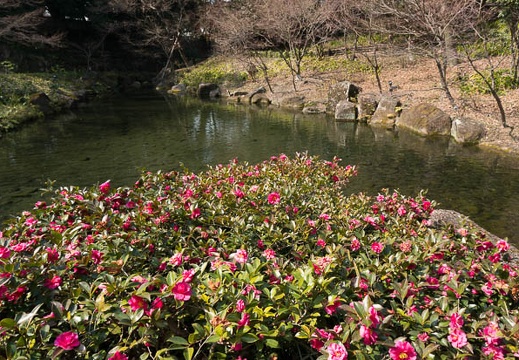 201303071129-DSC02434N.jpg