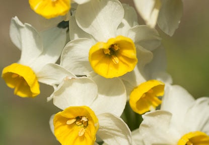201303071131-DSC02551.jpg