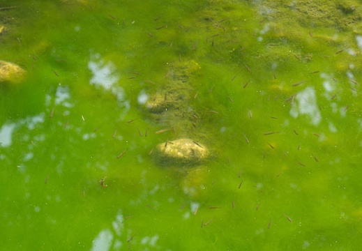 201303071138-DSC02570.jpg