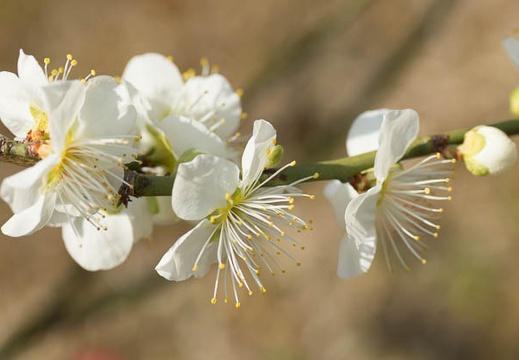 201303071201-DSC02658.jpg