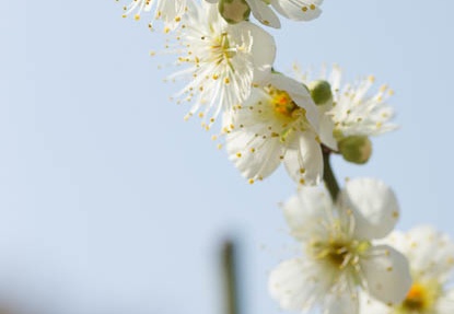 201303071202-DSC02672.jpg