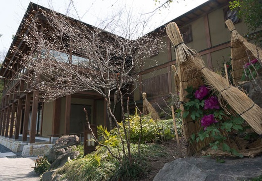 201303071212-DSC02481N.jpg