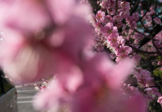 03.09 名古屋