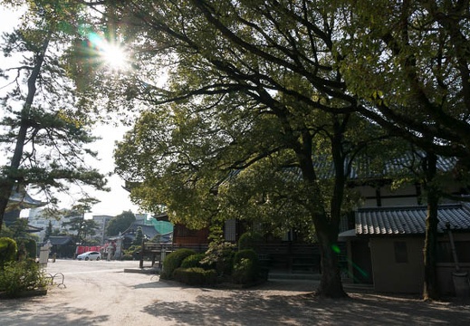 201303091509-DSC02544N.jpg