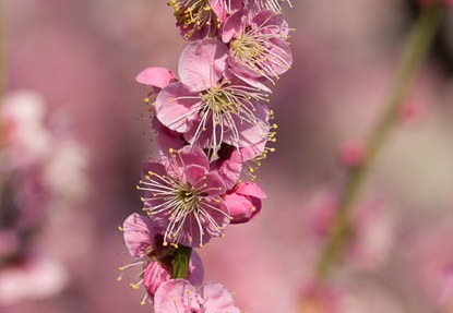 201303091517-DSC02808.jpg