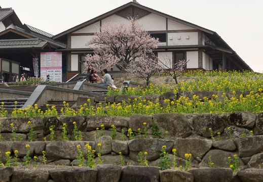 201303101052-DSC02861.jpg