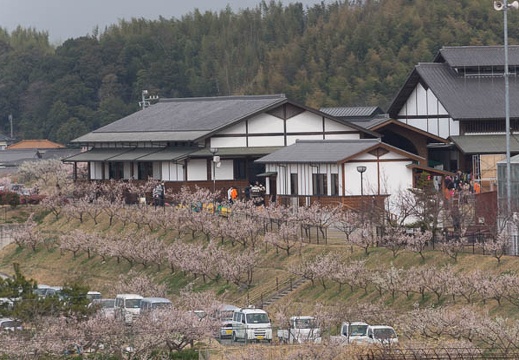 201303101232-DSC03037.jpg