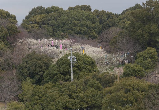 201303101233-DSC03039.jpg