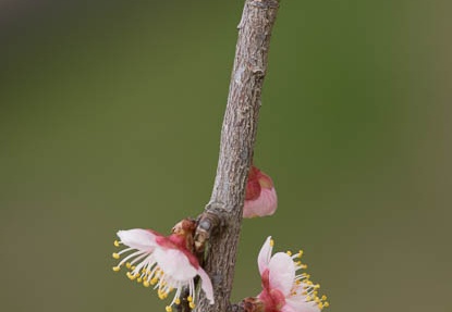 201303101304-DSC03101.jpg